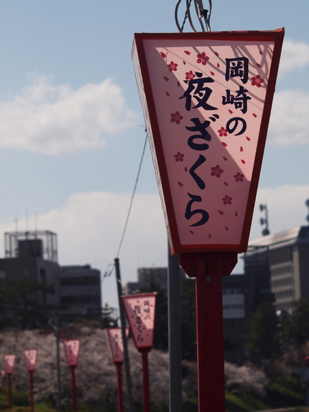 01-夜桜.jpg