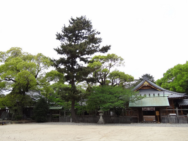 13-武雄神社.jpg